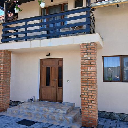 Casa Loredana Кырцишоара Экстерьер фото