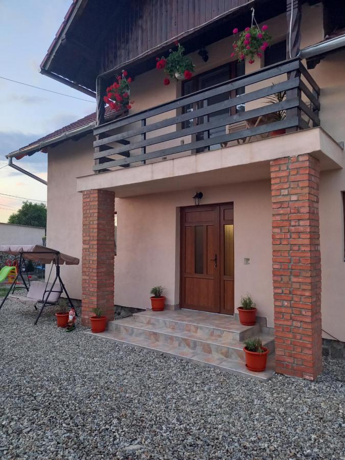 Casa Loredana Кырцишоара Экстерьер фото